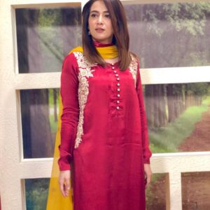 Red handworked Silk and jamawar dress - Image 4