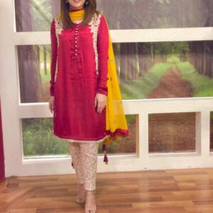 Red handworked Silk and jamawar dress - Image 6