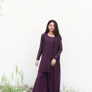 KS By Amna Ismail ( JAMNI PLAZO DRESS) - Image 6