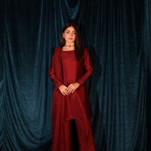 RAW SILK COLLECTION ‘25  BLOOD RED DRESS - Image 2