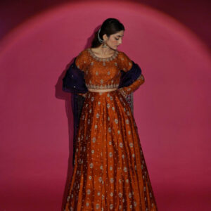 SHEHNAIYAN'24 (MEHANDI RUST LEHANGA ) - Image 3
