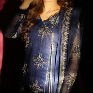 SHEHNAIYAAN ‘24 (DHOLKI BLUE PISHWAS ) - Image 7