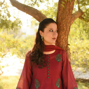 MAROON GREEN HANDWORKED DRESS - Image 4