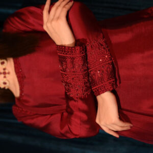 RAW SILK COLLECTION ‘25  BLOOD RED DRESS - Image 6