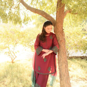 MAROON GREEN HANDWORKED DRESS