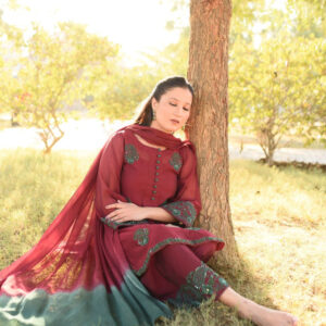 MAROON GREEN HANDWORKED DRESS - Image 6