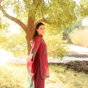 MAROON GREEN HANDWORKED DRESS - Image 5