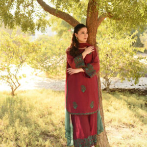 MAROON GREEN HANDWORKED DRESS - Image 2