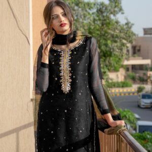 BLACK SHEESHA WORK DRESS - Image 3