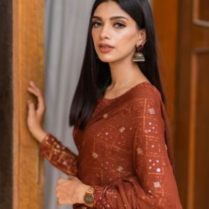 Terracotta Brown Chiken kari saree - Image 3