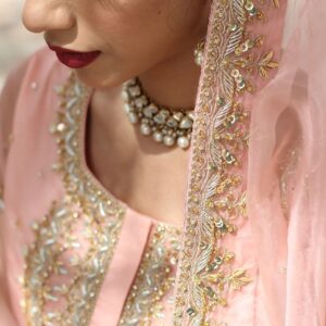 BEAUTY BUSH NIKAAH GHARARA - Image 4
