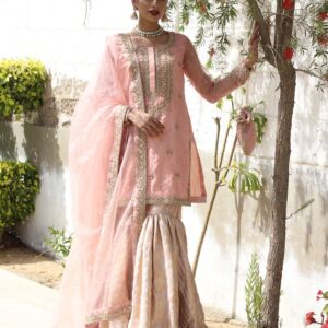 BEAUTY BUSH NIKAAH GHARARA - Image 5