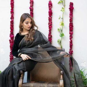 BLACK LINES SAREE WITH VELVET BLOUSE - Image 5