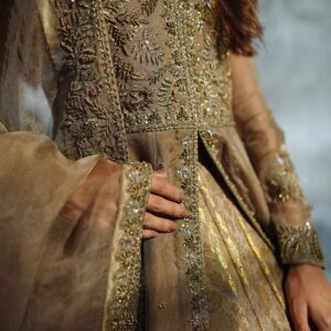 ZEBAISH E ZAMANA ( CHAMPANGE DRESS ) - Image 4