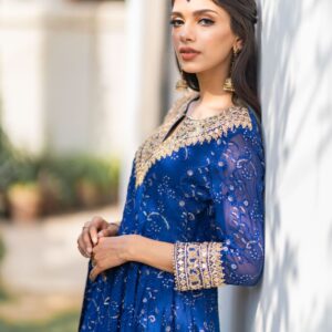 ROYAL BLUE CHIKEN KARI PISHWAS - Image 3
