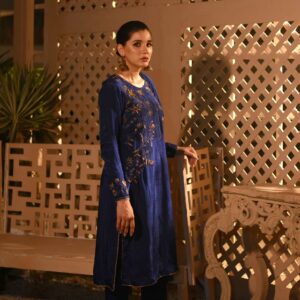 BAGHBAAN ( BLUE TROUSER SHIRT ) - Image 3
