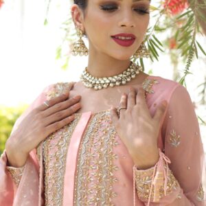 BEAUTY BUSH NIKAAH GHARARA - Image 3