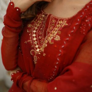ANAARI RED KHADDI NET DRESS - Image 3