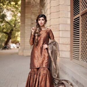 LAJPAAL "BROWN BROCADE" - Image 3