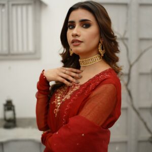 ANAARI RED KHADDI NET DRESS - Image 4