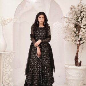 BAGHBAN ( BLACK CHIKEN KARI  ) - Image 7