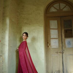 ZEBAISH E ZAMANA ( SAREE ) - Image 3
