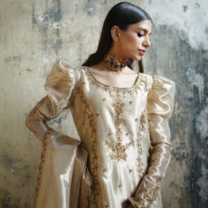 ZEBAISH E ZAMANA ( GOLDEN DRESS ) - Image 3