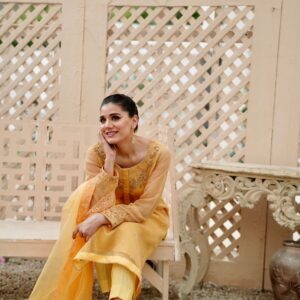 BAGHBAAN ( YELLOW TROUSER SHIRT ) - Image 4