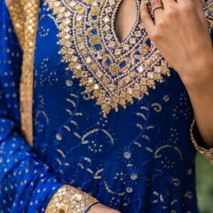 ROYAL BLUE CHIKEN KARI PISHWAS - Image 5