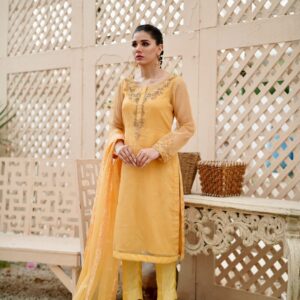 BAGHBAAN ( YELLOW TROUSER SHIRT ) - Image 3
