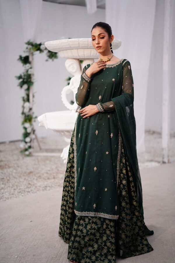 BAGHBAAN (GREEN LEHANGA DRESS)