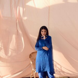 BLUE EMBRIODERED DRESS