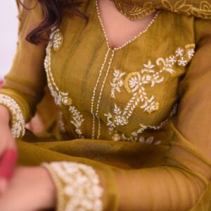 MEETHI EID'24 ( OLIVE GREEN PISHWAS ) - Image 7