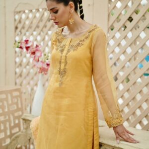 BAGHBAAN ( YELLOW TROUSER SHIRT ) - Image 2