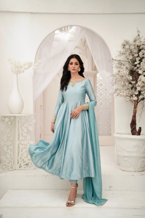 BAGHBAN ( FEROZI HAND WORK DRESS )