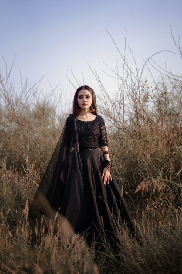 BLACK BEAUTY