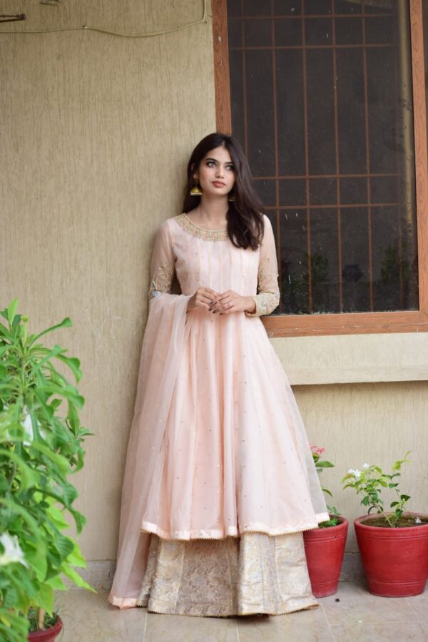 Powder pink  organza dress