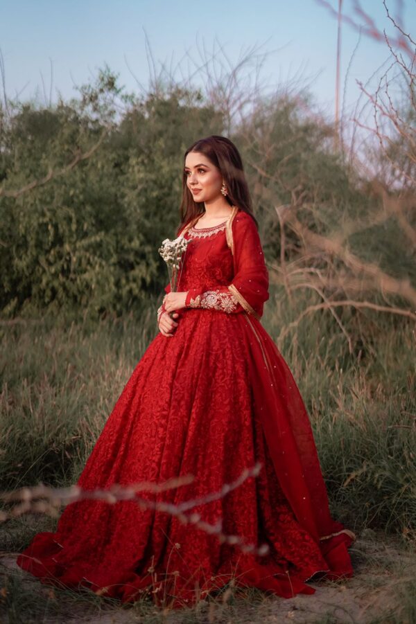 RED CAPARISON DRESS