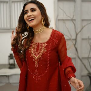 ANAARI RED KHADDI NET DRESS - Image 2