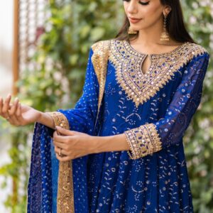 ROYAL BLUE CHIKEN KARI PISHWAS - Image 4