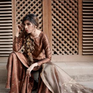 LAJPAAL "BROWN BROCADE" - Image 6