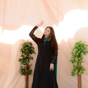 BLACK GREEN EMB DRESS