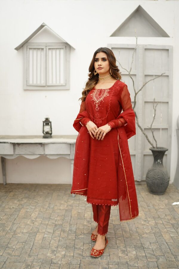 ANAARI RED KHADDI NET DRESS