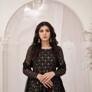 BAGHBAN ( BLACK CHIKEN KARI  ) - Image 2