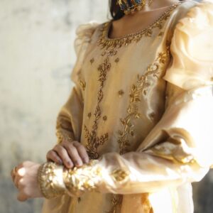 ZEBAISH E ZAMANA ( GOLDEN DRESS ) - Image 4