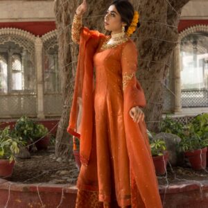 Rangeen kehkashan ( NARANGI ) - Image 4