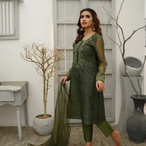 MEHANDI GREEN KHADDI NET DRESS