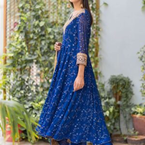ROYAL BLUE CHIKEN KARI PISHWAS - Image 2