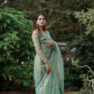 Organza mesuri sea green saree