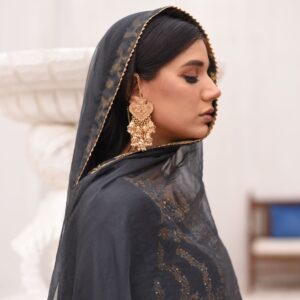 BAGHBAAN ( GREY ANGRAKHA CRUSHED PISHWAS ) - Image 6